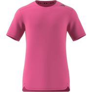 Adidas Hiit D4T HR Tee Prefuc Erkek T-shirt