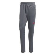 Adidas IJ9610 TR ES Gri Erkek Eşofman Altı