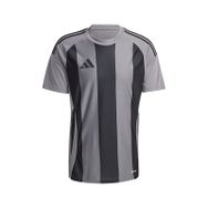 Adidas IW2145 Striped 24 JSY Gri Erkek Futbol Forması