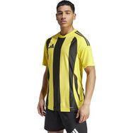 Adidas IW2146 Sarı Striped 24 Jsy Erkek Futbol Forması