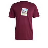 Adidas M ALL DAY I TEE Bordo Erkek T-shirt