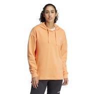 Adidas Terrex Logo Turuncu Kadın Sweatshirt