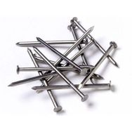 Adilon 12x50 mm Çivi Mat Başlı