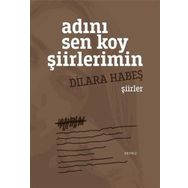 Adını Sen Koy Şiirlerimin - Dilara Habeş