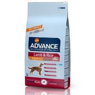 Advance 3 kg Lamb Rice Kuzu Etli Yetişkin Köpek Maması