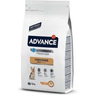 Advance Yorkshire Terrier Tavuklu Yetişkin 1,5 kg Köpek Maması