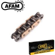 Afam A530XHR2-G Honda CB 900 Hornet 530 x 116 Supersport Gold Zincir