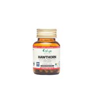 Afye Hawthorn 600 mg 60 Kapsül