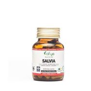 Afye Salvia 550 mg 50 Kapsül