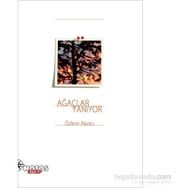 Ağaçlar Yanıyor - Özlem Akıncı