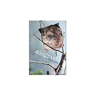 Ağaçtaki - On8 Kitap