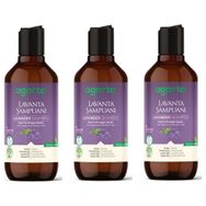 Agarta Doğal Lavanta 400 ml 3 Adet Şampuan