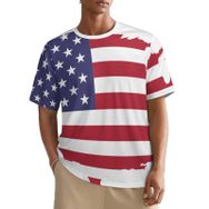 AILLOSA All Over FLAG-11 Kısa Kollu Baskılı Erkek T-shirt