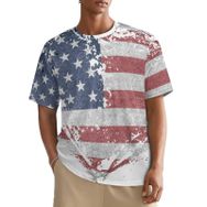 AILLOSA All Over FLAG-163 Kısa Kollu Baskılı Erkek T-shirt