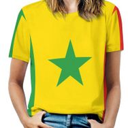 AILLOSA FLAG-132 Tamamı Baskılı Kısa Kollu Yuvarlak Yaka Kadın T-shirt