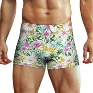 AILLOSA YH-606 Desenli Retro Erkek Boxer Şort