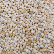 Ak Darı 25 kg Muhabbet Kuşu Yem
