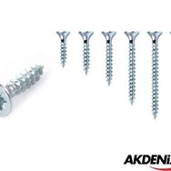 Akdeniz 4x40 mm Sunta Vidası