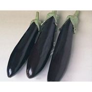Akgen 10 gr Patlıcan Aydın Tohumu