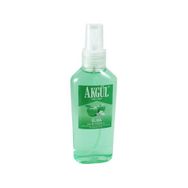 Akgül 160 ml Elma Kolonyası