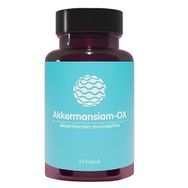 Akkermansiam-OX 60 Kapsül
