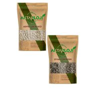 Aktarloji 1 kg Küçük Siyah Çekirdek + 1 kg Aspir Çekirdeği Papağan Yemi