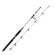 Albastar Arda 1003 240 cm 100-200G Aksiyonlu Vidalı Tekne Kamışı