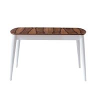 Albero Home Retro Masa Takımı