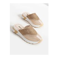 Alemdar Shoes Nice Vizon Taş Detay Kadın Terlik