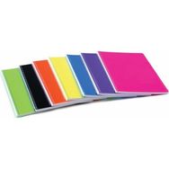 Alex Schoeller 120 Yaprak Kareli A4 Sp Plastik Kapak Defter