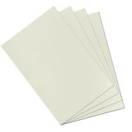 Alex Schoeller 70x100 cm 200 gr 25 Yaprak Teknik Resim Kağıdı
