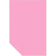 Alex Schoeller Kolej 35x50 cm No:10 Pembe 100'lü Fon Kartonu