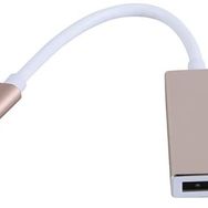 Alfais 4448 USB 3.1 Type C To Displayport Çevirici Dönüştürücü Adaptör