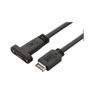 Alfais 4661 Type-E to Type-C Type-E to Type-C 20 Pin Çevirici USB Kablo