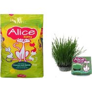 Alice Kitty 1 kg Yavru Hamile ve Emziren Kedi Maması + Kedi Çimi
