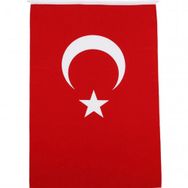 Alpaka 30x45 Türk Bayrağı