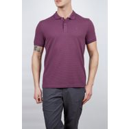 Alpinist Roc Erkek Mürdüm Polo T-Shirt