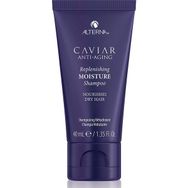 Alterna 40 ml Yenileyici ve Nemlendirici Şampuan