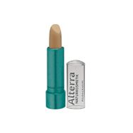 Alterra No:01 Açık 5 gr Kapatıcı Stick