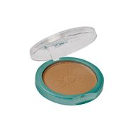 Alterra No:01 Bal Sarısı 10 gr Bronz Pudra