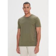 Altınyıldız Classics 4A4824200050 Haki Erkek T-Shirt