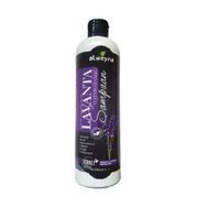 Alweyna Lavanta Ve At Kuyruğu Özlü Bitkisel 400 ml Şampuan