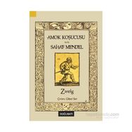 Amok Koşucusu - Sahaf Mendel - stephan zweig