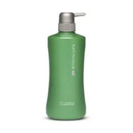 Amway Satınıque 750 ml 2'si 1 Arada Şampuan ve Saç Kremi