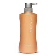 Amway Satinique 750 ml Nemlendirici Büyük Şampuan