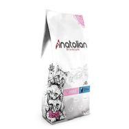 Anatolian Premium 10 kg Tavuk Etli Yavru Kedi Maması