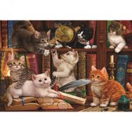 Anatolian Puzzle Kediler ve Kitapla500 Parça