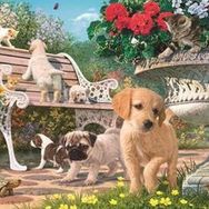 Anatolian Saklambaç 260 Parça Puzzle