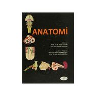 Anatomi - K. Mine Ergun Mürvet Hayran