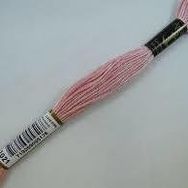 Anchor Muline 1021 Nakış İpliği